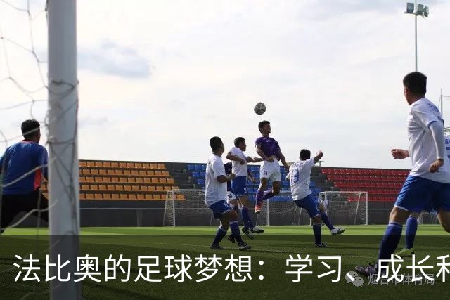 法比奥的足球梦想：学习、成长和大显身手！